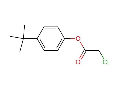 Molecular Structure of 6291-99-2 (4-tert-butylphenyl chloroacetate)