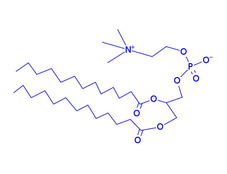 1,2-DITRIDECANOYL-SN-GLYCERO-3-PHOSPHOCHOLINE