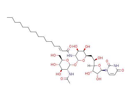 튜니카마이신 C2 상동체