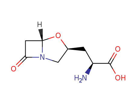 3-(7-oxo-1-aza-4-oxabicyclo(3.2.0)hept-3-yl)alanine