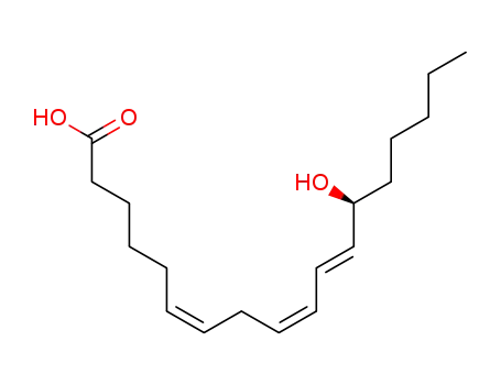 13 (S)-뜨거운