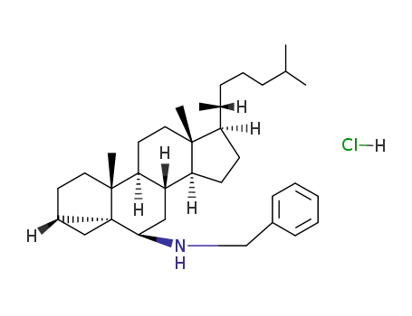 Molecular Structure of 5401-77-4 (6β-benzylamino-3α.5α-cyclo-cholestane; hydrochloride)
