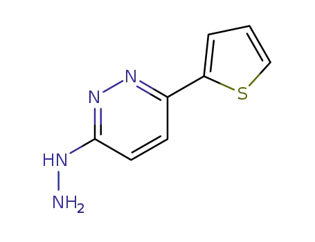 Molecular Structure of 75792-87-9 (3-HYDRAZINO-6-(2-THIENYL)PYRIDAZINE)