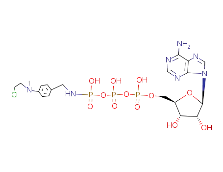 ATP-gamma-4-(N-2-chloroethyl-N-methylamino)benzylamidate