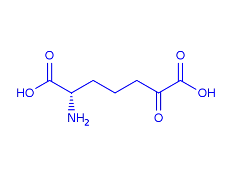 Molecular Structure of 75650-93-0 (alpha-amino-epsilon-keto-pimelic acid)