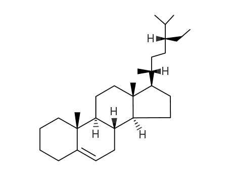 라모트리진-5N-글루쿠로나이드