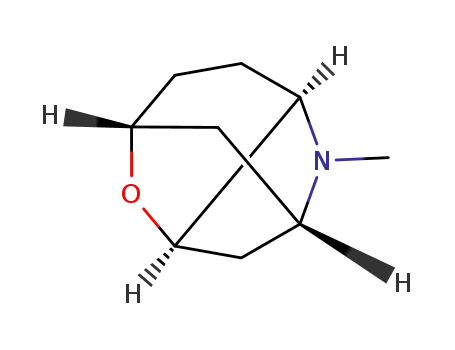 2,5-Methanopyrano[3,2-b]pyrrole,octahydro-1-methyl-(9CI)