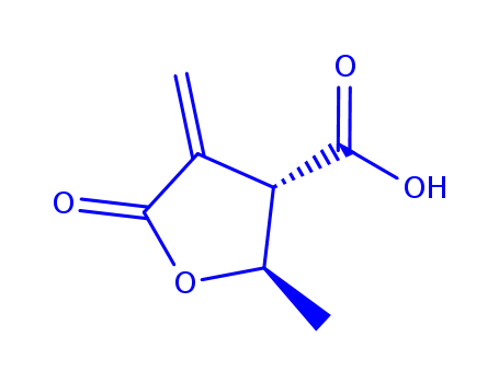 3-Furancarboxylicacid,tetrahydro-2-methyl-4-methylene-5-oxo-,(2R,3S)-rel-(9CI)