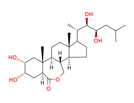 노르브라시놀라이드(NBI)