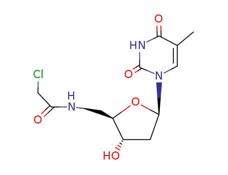 5'-CHLOROACETAMIDO-5'-DEOXYTHYMIDINE