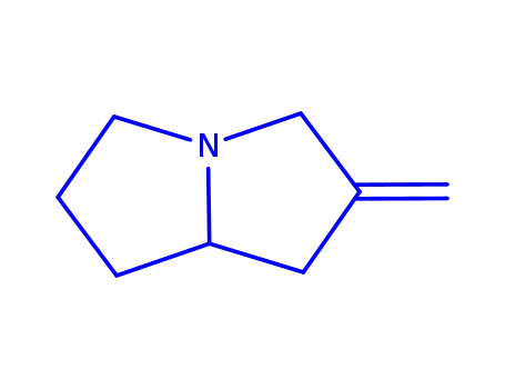 Molecular Structure of 785034-65-3 (1H-Pyrrolizine,hexahydro-2-methylene-(9CI))