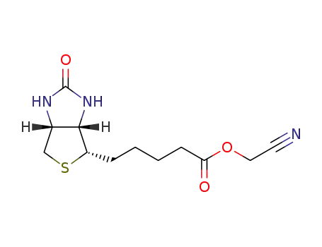 Molecular Structure of 1306616-52-3 (cyanomethyl biotinate)
