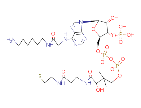 N(6)-(N-(6-Aminohexyl)carbamoylmethyl)-coenzyme A