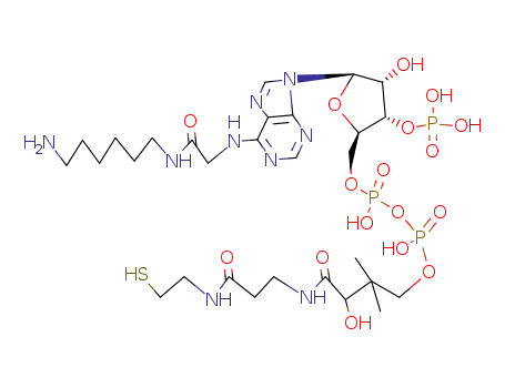 N(6)-(N-(6-Aminohexyl)carbamoylmethyl)-coenzyme A