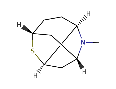 2,5-METHANOTHIOPYRANO[3,2-B]PYRROLE,OCTAHYDRO-1-METHYL-