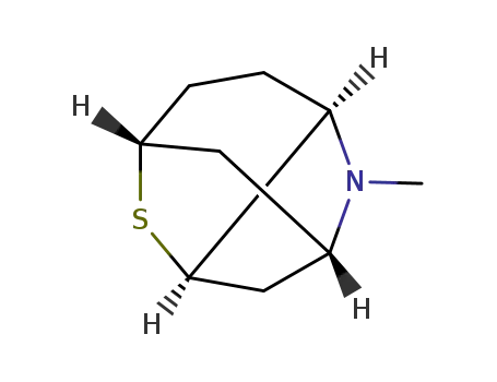 Molecular Structure of 788767-51-1 (2,5-Methanothiopyrano[3,2-b]pyrrole,octahydro-1-methyl-(9CI))