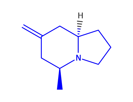 Molecular Structure of 727985-52-6 (Indolizine, octahydro-5-methyl-7-methylene-, (5S,8aS)- (9CI))
