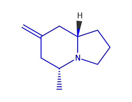 인돌리진, 옥타히드로-5-메틸-7-메틸렌-, (5R,8aR)-(9CI)