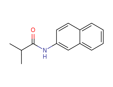 N-NAPHTHALEN-2-YL-ISOBUTYRAMIDE