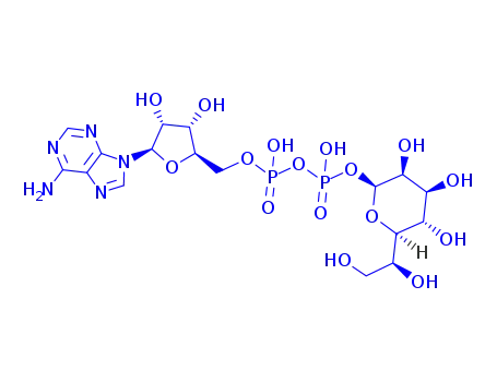 아데노신 5'-디포스페이트-글리세로-만노헵토스
