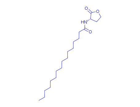 Cas no.87206-01-7 98% (S)-N-(2-Oxotetrahydrofuran-3-yl)palmitamide