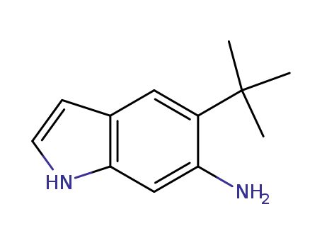 5-(tert-butyl)-1H-indol-6-aMine