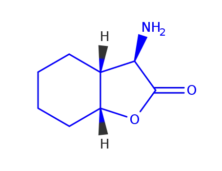 Molecular Structure of 803631-73-4 (2(3H)-Benzofuranone,  3-aminohexahydro-)