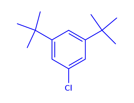 Molecular Structure of 80438-67-1 (1,3-di-tert-butyl-5-chlorobenzene)