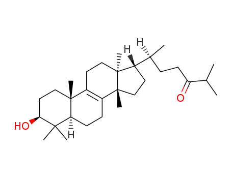 Molecular Structure of 80799-31-1 (lanost-8-en-3-ol-24-one)