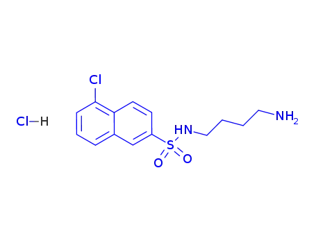 N-(4-아미노부틸)-5-클로로-2-나프탈렌설폰아미드 염산염