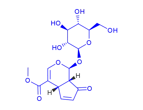(1S)-1α-(β-D-글루코피라노실옥시)-1,4aα,7,7aα-테트라히드로-7-옥소시클로펜타[c]피란-4-카르복실산 메틸 에스테르
