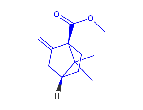 비시클로[2.2.1]헵탄-1-카르복실산, 7,7-디메틸-2-메틸렌-, 메틸 에스테르(9CI)