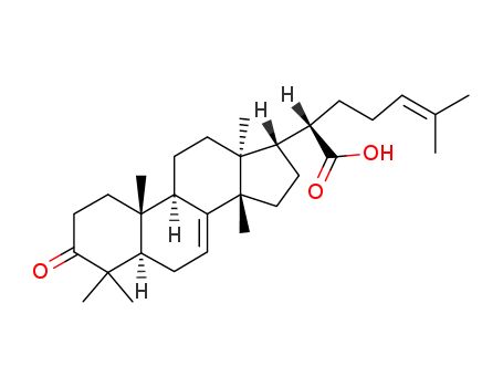 3-Oxotirucalla-7,24-dien-21-oic acid manufacturer