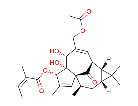 20-O-Acetylingenol-3-angelate with high qulity