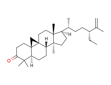 Molecular Structure of 83110-14-9 ((24R)-24-Ethyl-9β,19-cyclo-5α-lanost-25-en-3-one)