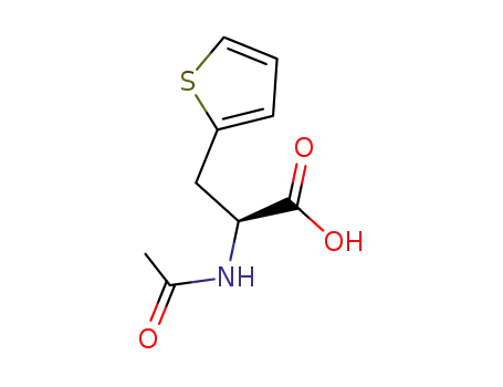 (2S)-2-acetamido-3-thiophen-2-ylpropanoic acid