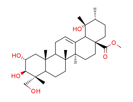 Methyl-23-hydroxy-tormentat