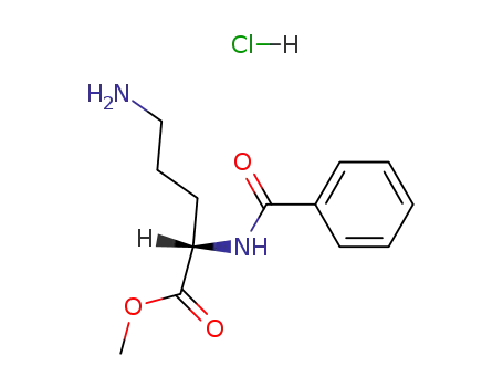 Molecular Structure of 840-98-2 (methyl N~2~-benzoylornithinate)