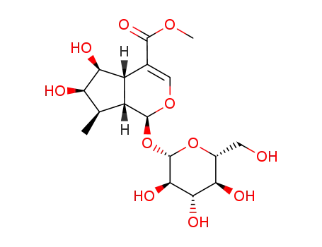 Molecular Structure of 84395-22-2 (methyl (1S,4aR,5S,6R,7R,7aS)-1-(hexopyranosyloxy)-5,6-dihydroxy-7-methyl-1,4a,5,6,7,7a-hexahydrocyclopenta[c]pyran-4-carboxylate)