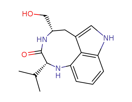 (+)-N<sup>13</sup>-desmethylindolactam-V