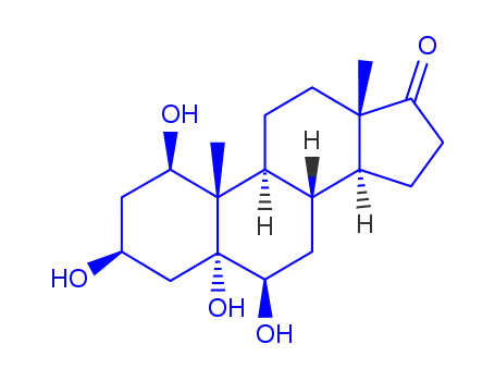 Molecular Structure of 90134-60-4 (1,3,5,6-tetrahydroxyandrostan-17-one)