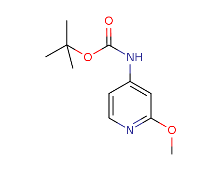 (2-METHOXY-PYRIDIN-4-YL)-CARBAMIC ACID TERT-BUTYL ESTER