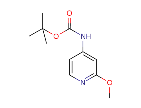 (2-METHOXY-PYRIDIN-4-YL) -CARBAMIC ACID TERT-BUTYL 에스테르