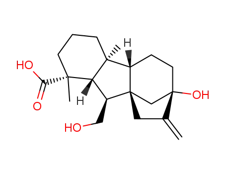 13-hydroxygibberellin A<sub>12</sub>-7-alcohol