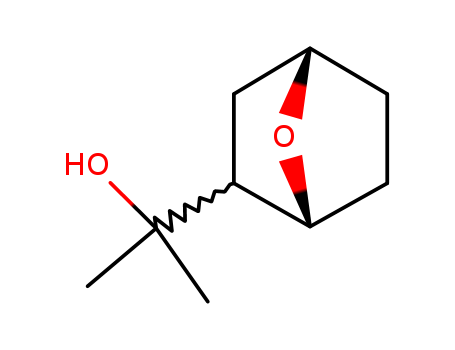 2-(7-oxabicyclo[2.2.1]hept-6-yl)propan-2-ol