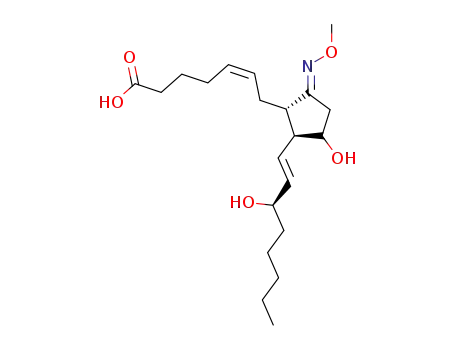 Molecular Structure of 86659-90-7 (prostaglandin E2 methyl oxime)