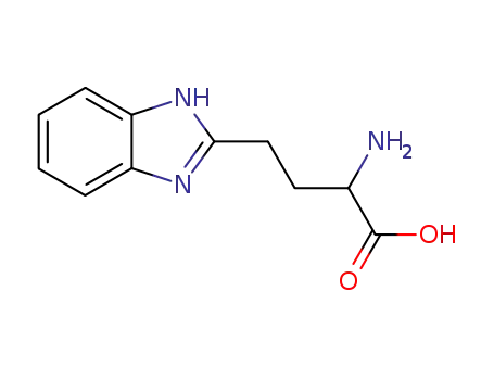 Molecular Structure of 91332-08-0 (2-AMINO-4-(1H-BENZOIMIDAZOL-2-YL)-BUTYRIC ACID)