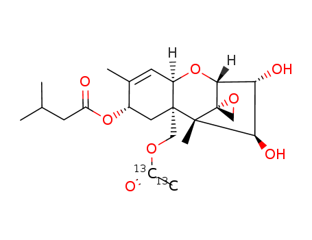 HT-2 Toxin-13C2,D3