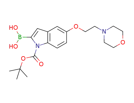 1H-인돌-1-카르복실산, 2-보로노-5-[2-(4-모르폴리닐)에톡시]-, 1-(1,1-디메틸에틸) 에스테르