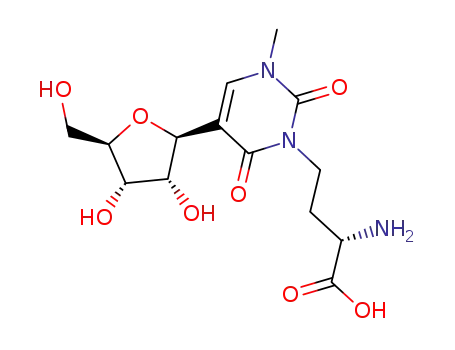 3-(3-아미노-3-카르복시프로필)-1-메틸슈도우리딘